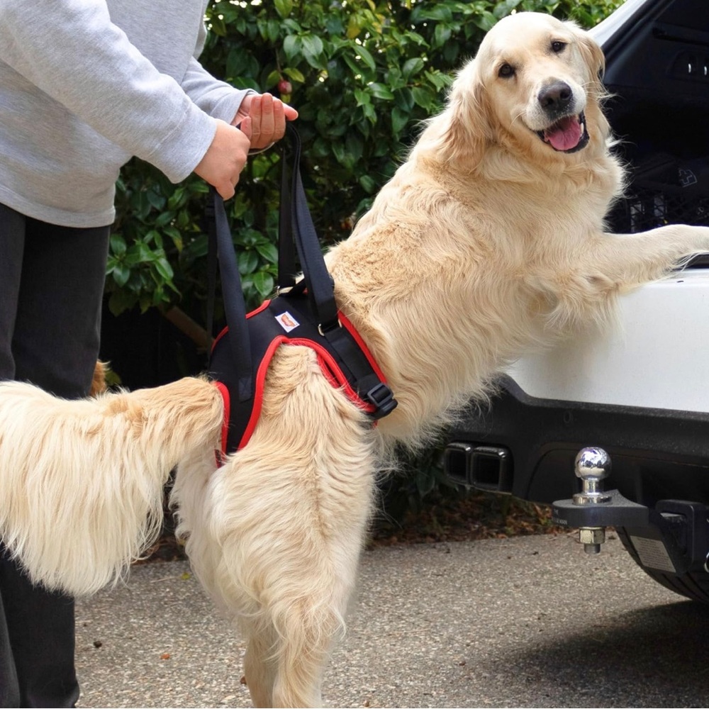 Dog support new without tag